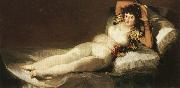 Francisco Goya, The Clothed Maja